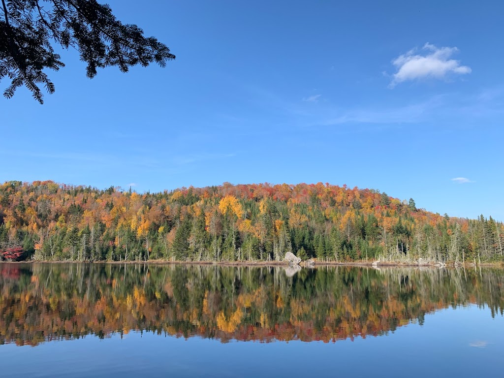 Escale au Lac | 3000 chemin Albert-Julien, Rivière-à-Pierre, QC G0A 3A0, Canada | Phone: (418) 570-9430