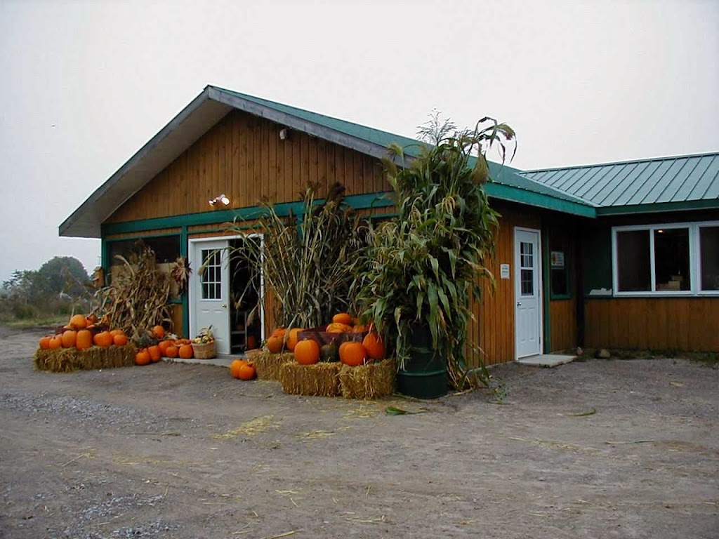 McLean Berry Farm | 2191 16 Line, Lakefield, ON K0L 2H0, Canada | Phone: (705) 657-2134