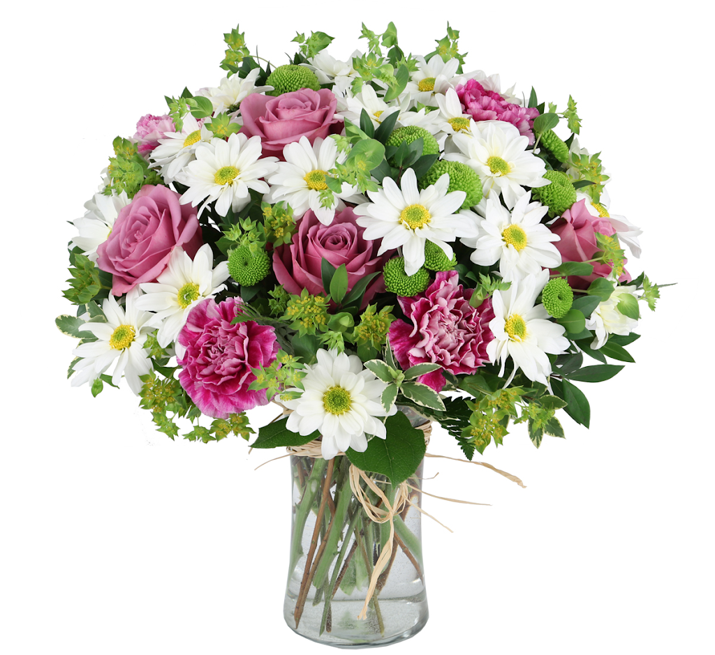Canada Flowers | ~ Canadas National Florist, 45 Brisbane Rd #1, North York, ON M3J 2K1, Canada | Phone: (888) 705-9999