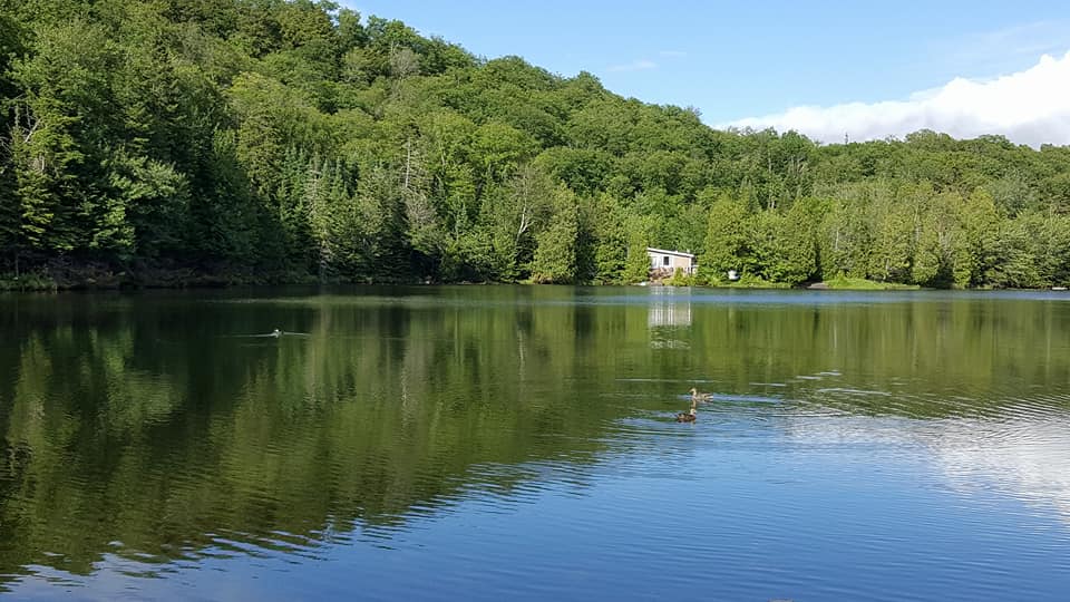 Agence de location LOUER UN CHALET LAURENTIDES | 2229 Chemin du Domaine, Saint-Adolphe-dHoward, QC J0T 2B0, Canada | Phone: (514) 718-4623