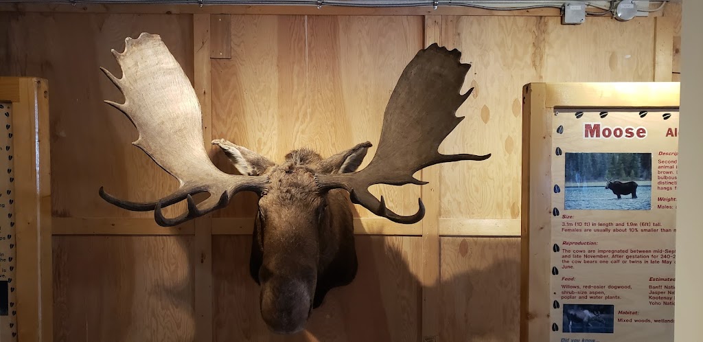 WILDLIFE INTERPRETIVE CENTRE at Lake Louise Ski Resort | Lake Louise, AB T0L, Canada | Phone: (877) 956-8473