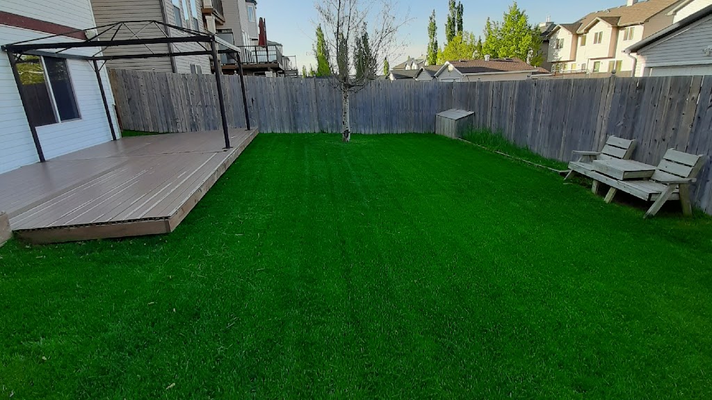 Calgary Best Lawn Care | 57 Ave SW, Calgary, AB T2V 0H4, Canada | Phone: (587) 969-5296