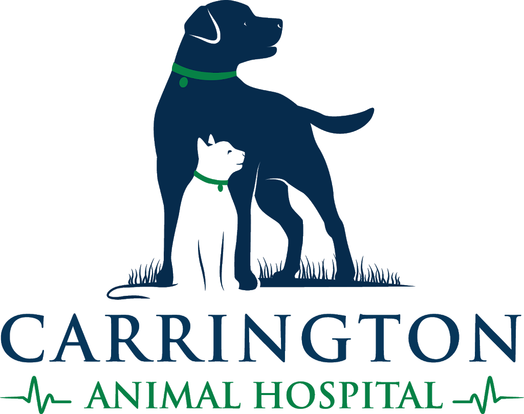 Carrington Animal Hospital | 2300 Carrington Rd # 130, West Kelowna, BC V4T 2N6, Canada | Phone: (250) 768-6787