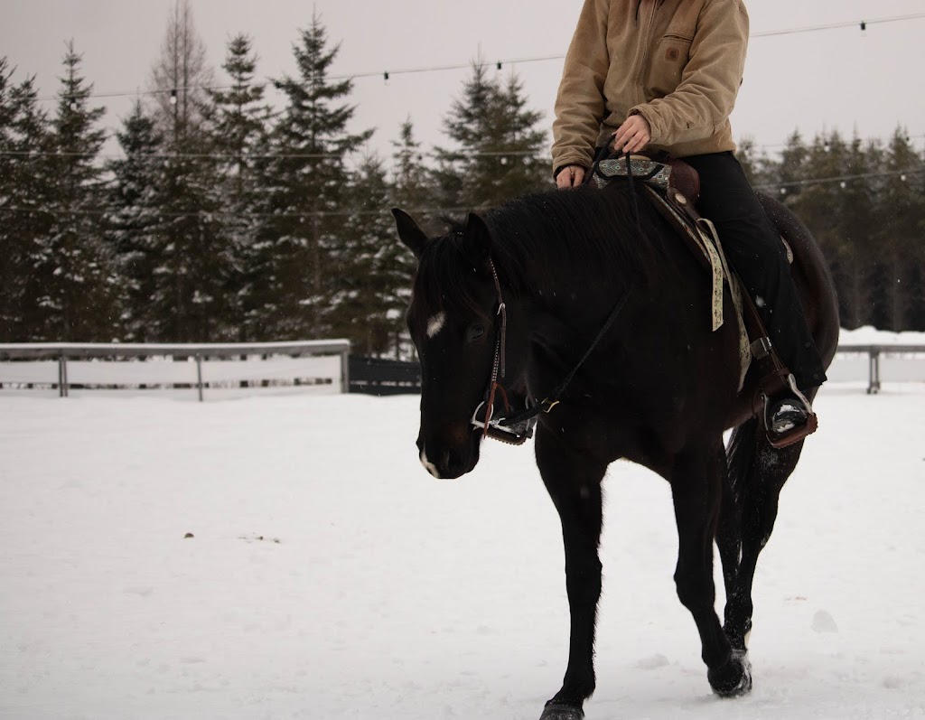 Equestrian Center Deserto | 117 Chem. Baskatong, La Vallée-de-la-Gatineau, QC J0W 1E0, Canada | Phone: (819) 660-9039