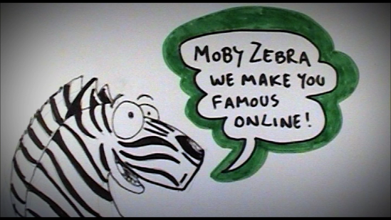 Moby Zebra | 70 Dixon Ave #201, Toronto, ON M4L 1N6, Canada | Phone: (416) 931-1940