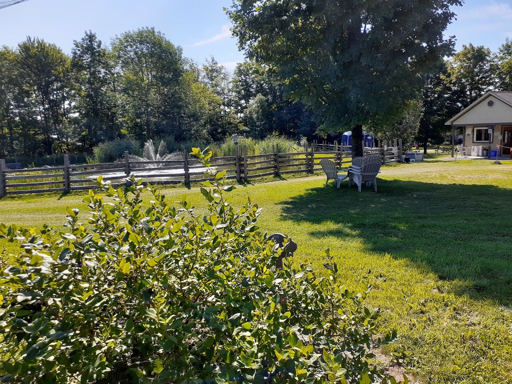 Bleuetière et Érablière Giard | 15 Chemin Giard, Granby, QC J2H 0T1, Canada | Phone: (450) 372-6320