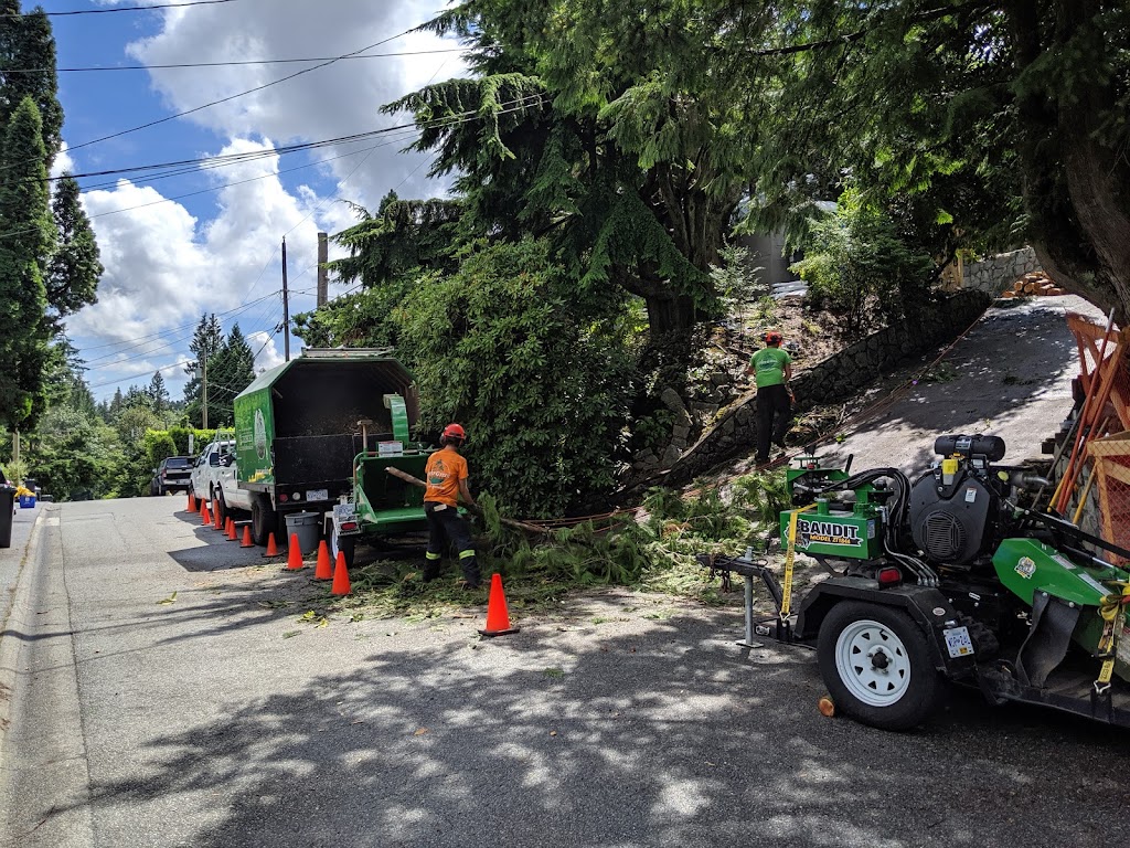 ArborGreen Tree Service North Vancouver | 83 - 1050 Premier St, North Vancouver, BC V7J 2H2, Canada | Phone: (778) 288-2521