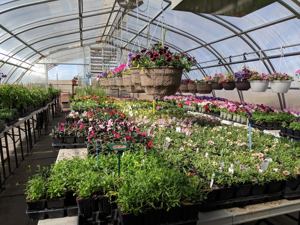 Dons Greenhouse and Aviary | Twp Rd 304 252070C, Linden, AB T0M 1J0, Canada | Phone: (403) 813-1812