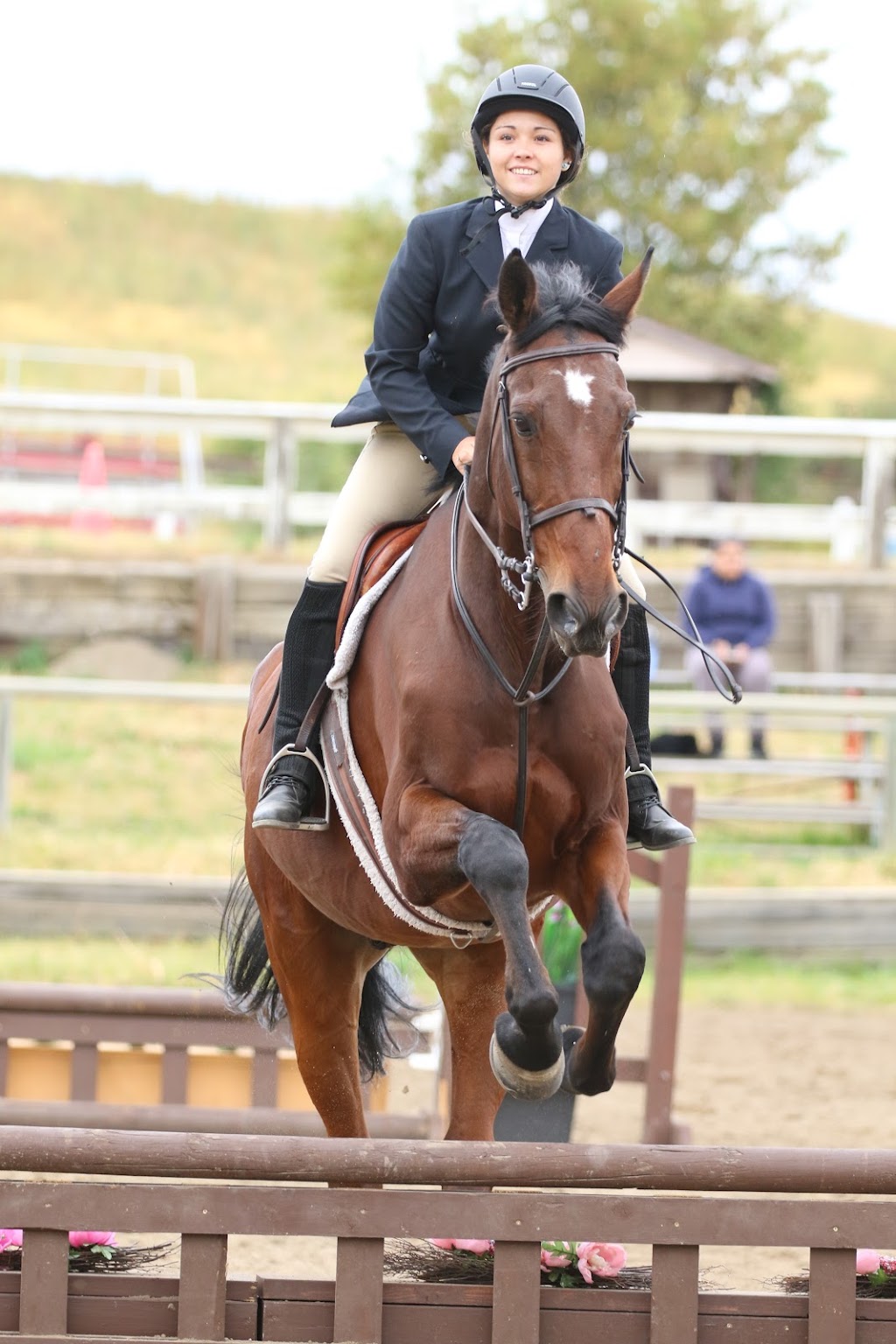 Teesdale English Riding School | 112145 Spruce Meadows Green SW Unit 100, Alberta T1S 3H1, Canada | Phone: (403) 256-1137