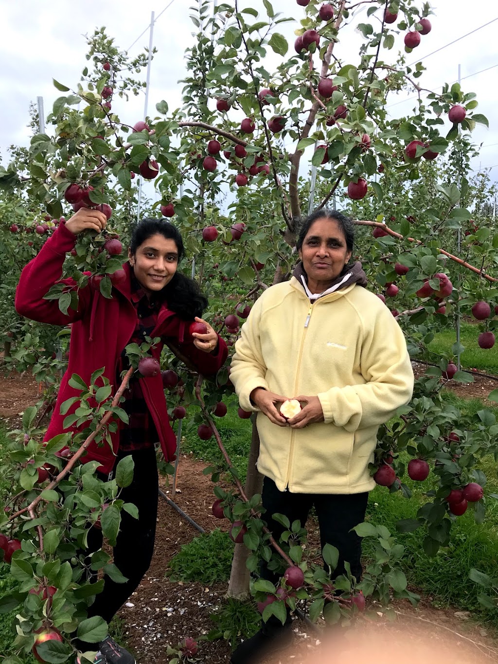 The Grove Orchard And U-Pick | 2100 PE-248, Warren Grove, PE C0A 1H5, Canada | Phone: (902) 628-7434