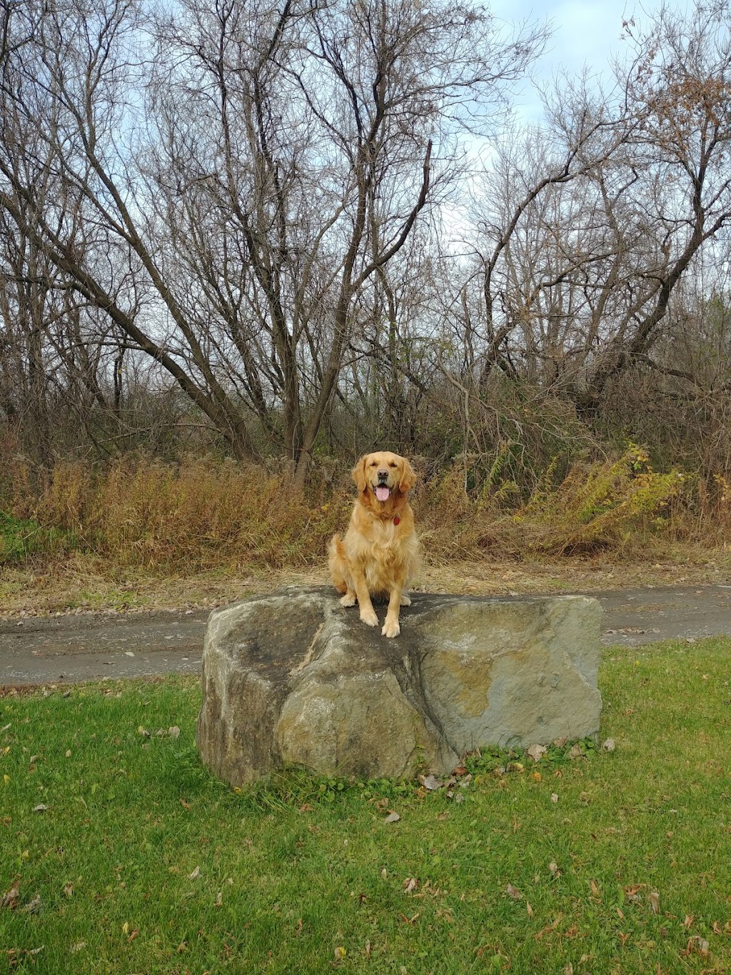 Kennel Engold pension | 715 Chem. de Touraine, Sainte-Julie, QC J3E 1Y2, Canada | Phone: (450) 649-1209