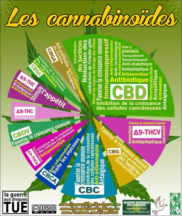 Centre Recherche Cannabis | 559 Rte Barette, Notre-Dame-des-Prairies, QC J6E 0M1, Canada | Phone: (450) 752-8282