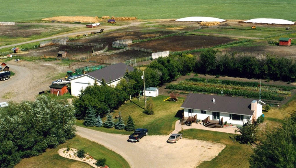 DC Farms | Barrhead, AB T7N 1N3, Canada | Phone: (780) 674-4098