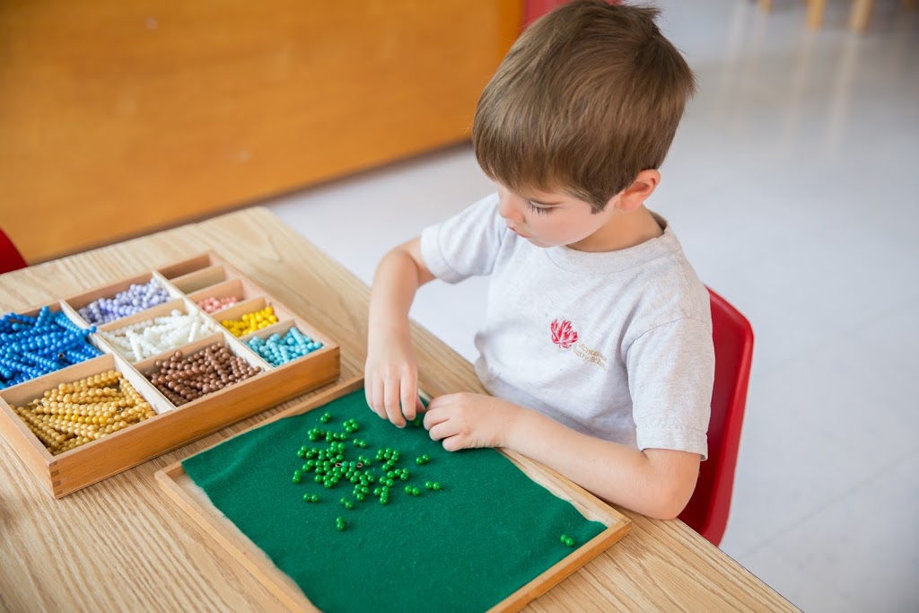 The Montessori Country School in Nobleton | 6185 15th Sideroad, Nobleton, ON L0G 1N0, Canada | Phone: (905) 859-4739