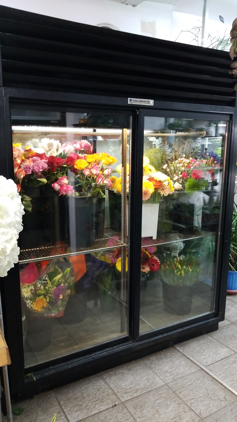 Shaw Flowers & Gifts | 1068 Dundas St W, Toronto, ON M6J 1W8, Canada | Phone: (416) 409-1882