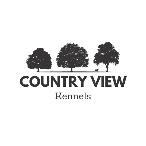 Country View Labradors | 485527 Firehall Rd, Woodstock, ON N4S 7V8, Canada | Phone: (226) 888-0924
