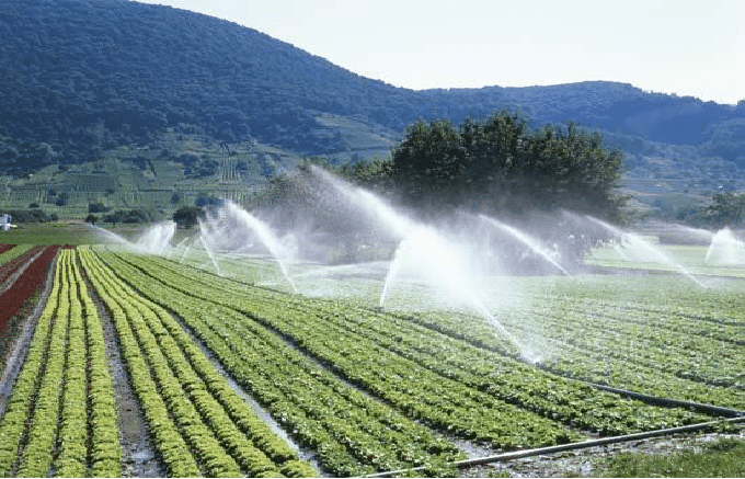 IMPERIAL IRRIGATION | 4821 Carson Pl, Burnaby, BC V5J 2Y6, Canada | Phone: (604) 690-7441