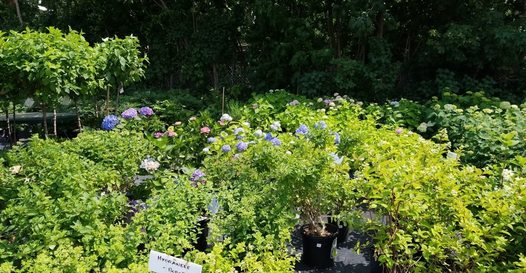 West Island Nursery / Pépinière de louest Inc. | 4780 Boulevard Saint-Charles, Pierrefonds, QC H9H 3C9, Canada | Phone: (514) 620-2615