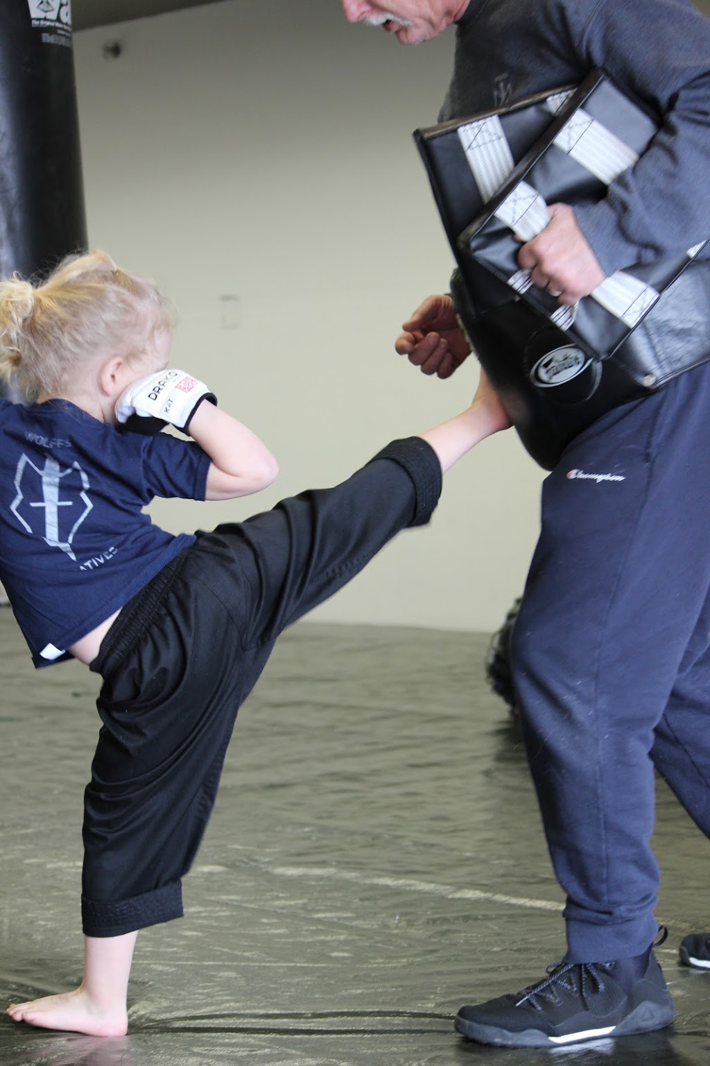 Wolfes Combatives | 32929 Mission Way #38, Mission, BC V2V 6E4, Canada | Phone: (604) 817-9170