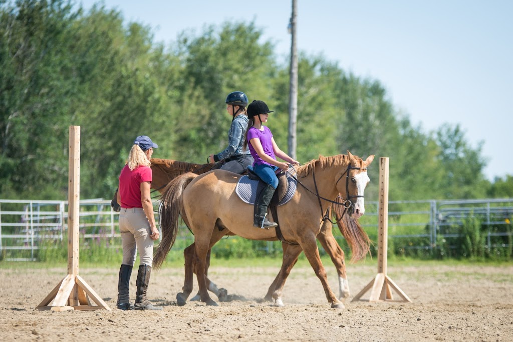 Equestrian Center Drummond S.e.n.c. | 1220, 3e rang-de-Wendover-Sud, Saint-Cyrille-de-Wendover, QC J1Z 1X2, Canada | Phone: (819) 477-0738