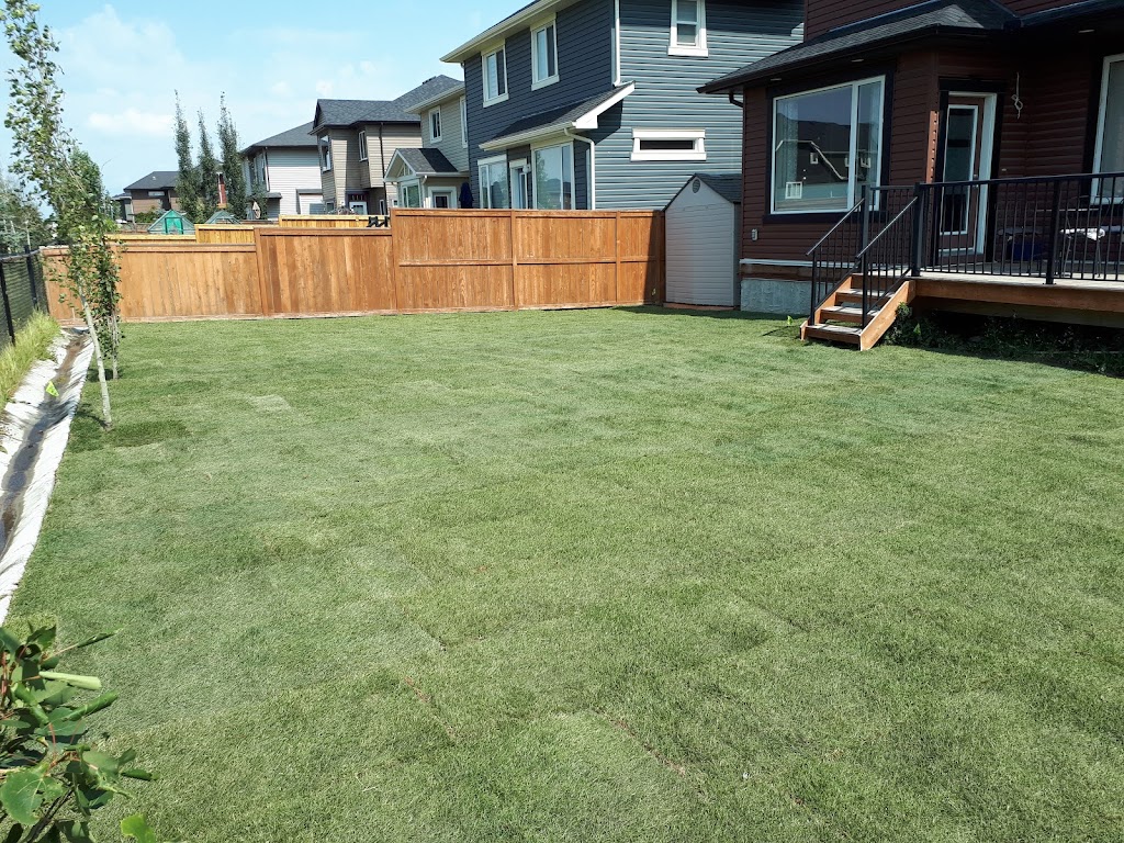 Rapid maintenance and landscaping | 113 Temple Dr NE, Calgary, AB T0M 1S0, Canada | Phone: (587) 889-0383