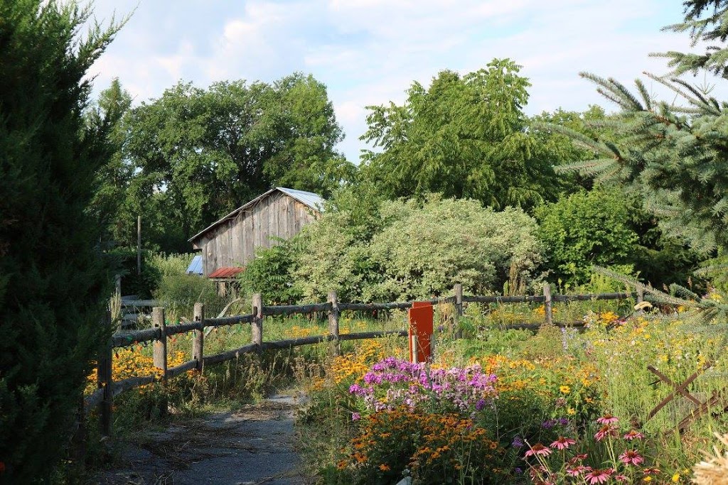 Cannamore Orchard | 1480 County Rd 32, Crysler, ON K0A 1R0, Canada | Phone: (613) 448-3633