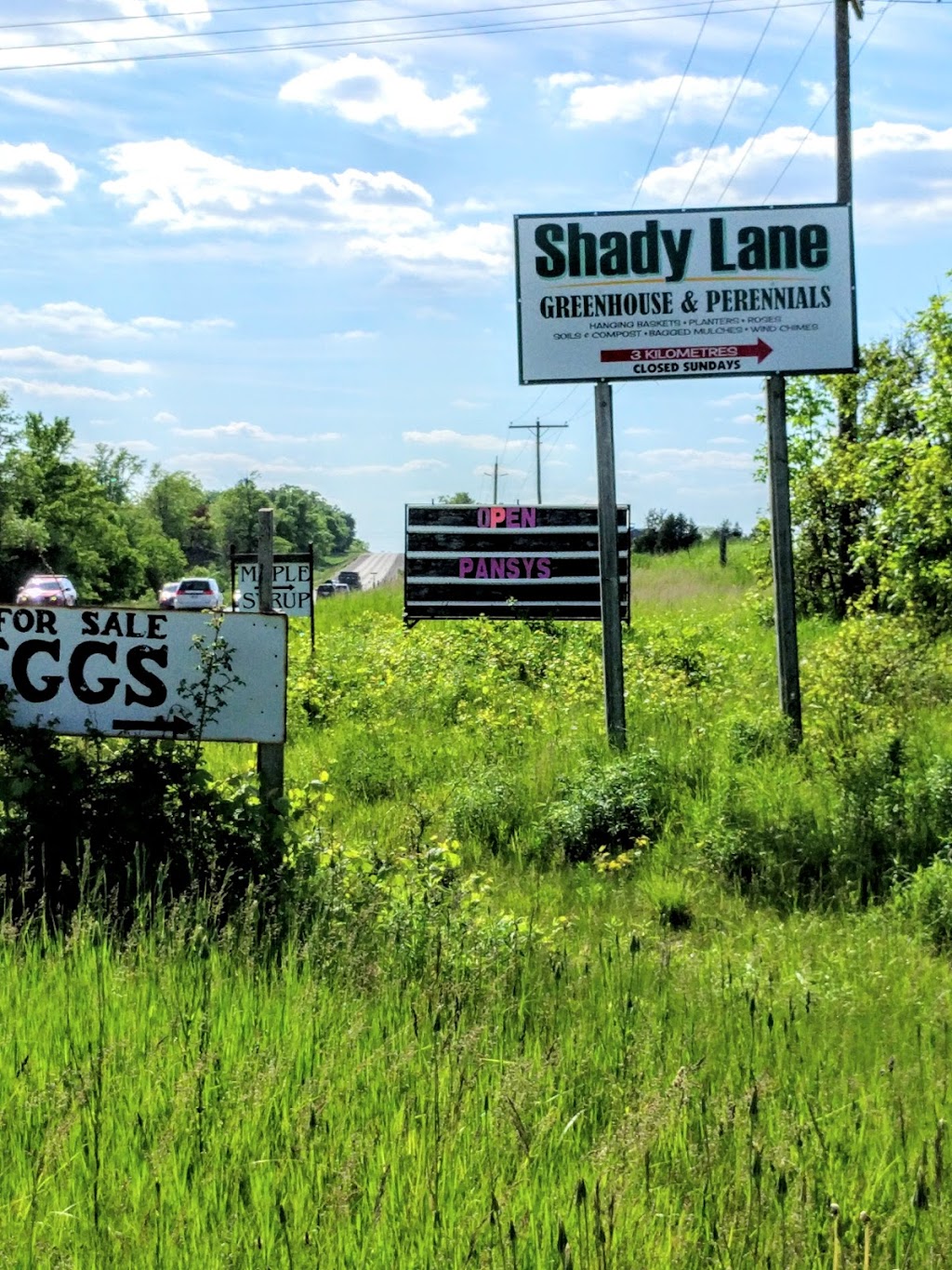 Shady Lanes Greenhouse & Perenials | 6158 Weisenberg Rd, West Montrose, ON N0B 2V0, Canada | Phone: (519) 846-2972