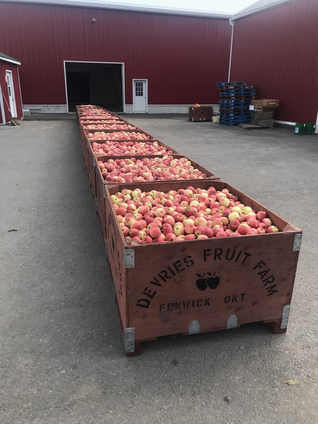 DeVries Fruit Farm | 825 Canboro Rd, Fenwick, ON L0S 1C0, Canada | Phone: (905) 892-8724