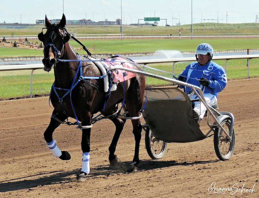 Alberta Standardbred Horse Association | 151 East Lake Boulevard Northeast, #207 NW Corner of the Vet Ag Bldg. Second floor, no, wheelchair access, Airdrie, AB T4A 2G1, Canada | Phone: (403) 263-7765