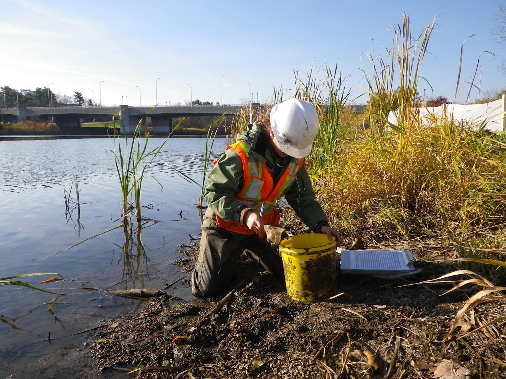 Niblett Environmental Associates Inc | 55 Mary St W, Lindsay, ON K9V 5Z6, Canada | Phone: (705) 878-9399