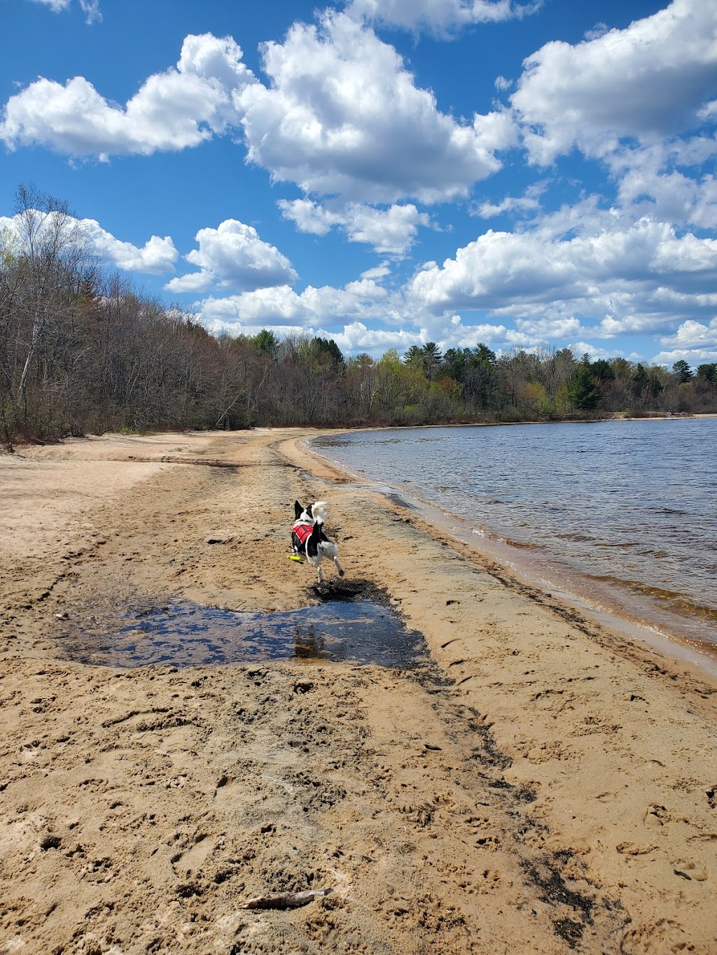 Black Bear Beach Campground | 154 Lieven Rd, Petawawa, ON K8H 1E9, Canada | Phone: (613) 687-7268