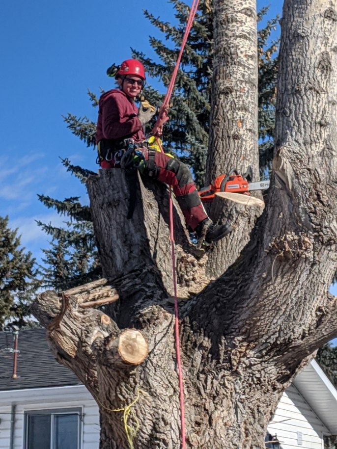 Mountain Country Tree Care | 67 Knight Pl, Crossfield, AB T0M 0S0, Canada | Phone: (403) 836-5765