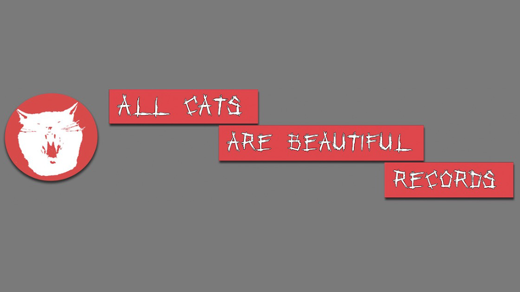 All Cats Are Beautiful Records | 7755 Rue Broadway Apt 6, LaSalle, QC H8P 1J6, Canada | Phone: (514) 951-8531
