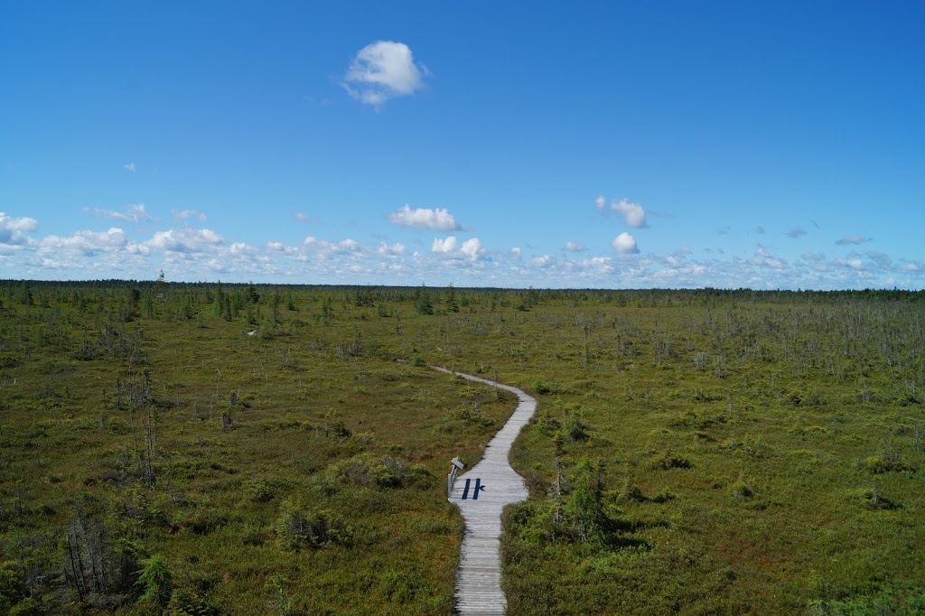 Kouchibouguac National Park | National 186, NB-117, Kouchibouguac, NB E4X 1V2, Canada | Phone: (506) 876-2443