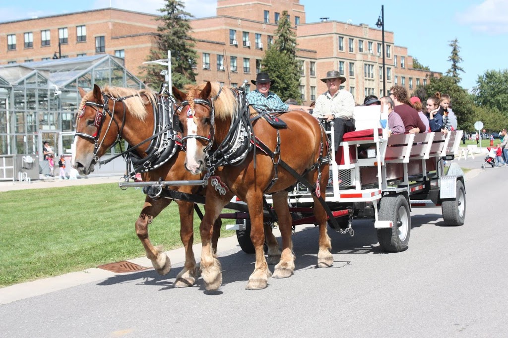 Red Gate Arena Farm | 561 Ramsay Concession 5A, Carleton Place, ON K7C 3P1, Canada | Phone: (613) 253-8641