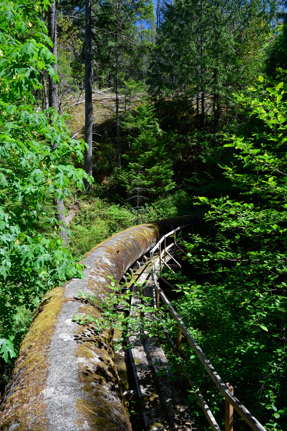 Sooke Flow Pipe Trail | Sooke River Rd, Sooke, BC V9C 4C1, Canada