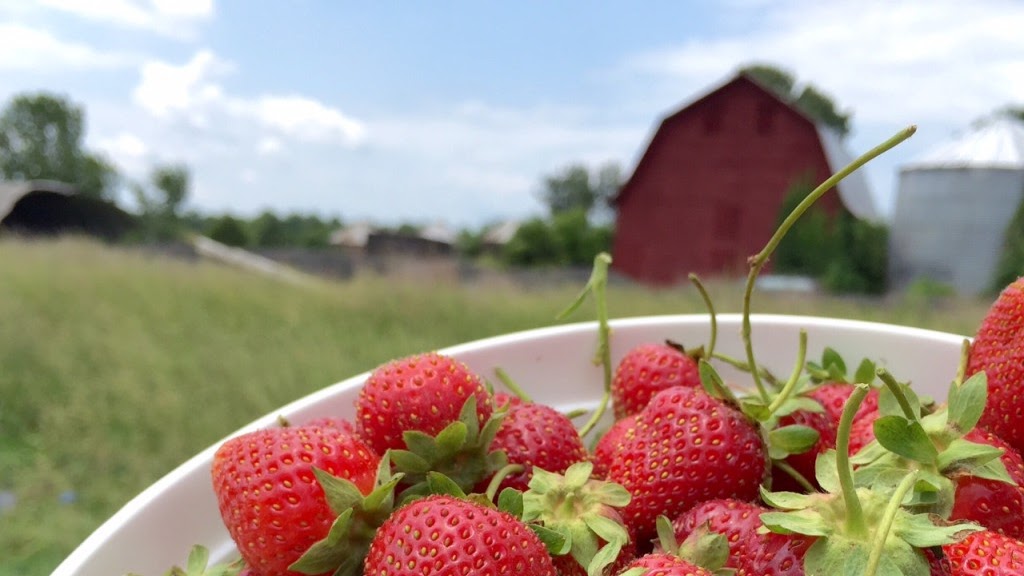 Find Local Foods Canada | 24 Tottenham Rd, Alliston, ON L9R 1Z2, Canada | Phone: (289) 970-0333