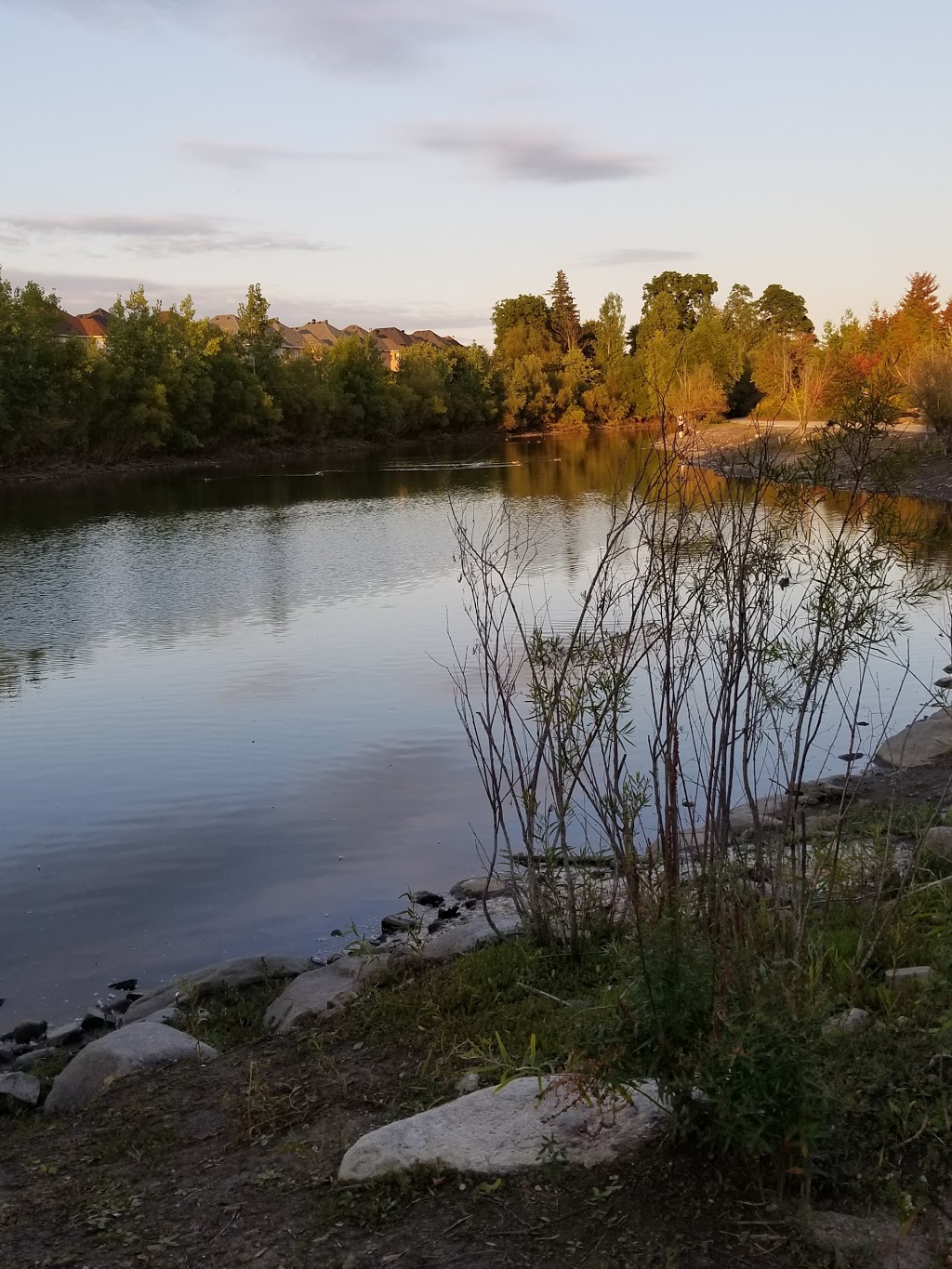 Heron Pond | Richmond Hill, ON L4S 1X3, Canada