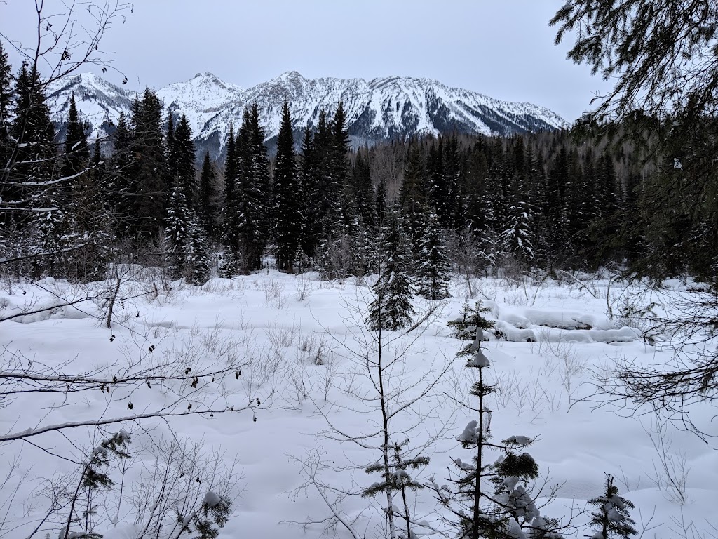 Mount Fernie Provincial Park | Fernie, BC V0B 1M0, Canada | Phone: (800) 689-9025