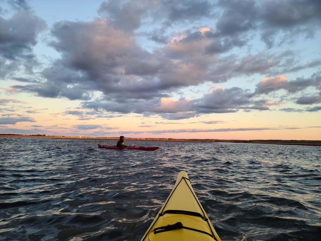 Malpeque Bay Kayak Tours | H75X+J9, Lower Malpeque, PE C0B 1M0, Canada | Phone: (902) 439-7885