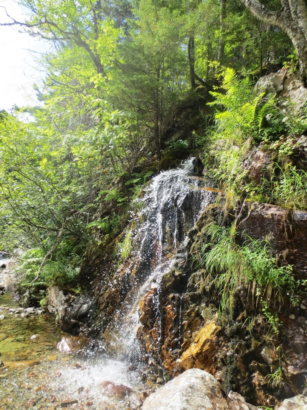 The Forks - UNESCO Fundy Biosphere Reserve Amazing Place | Alma Parish, NB E4H, Canada | Phone: (506) 874-3272