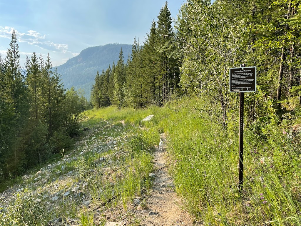 Ram Creek Hot Springs | White Ram Forest Service Rd, East Kootenay, BC V0B 2E0, Canada | Phone: (604) 265-2876