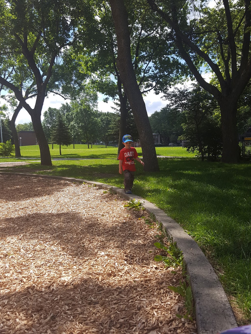 Parc De La Bruère | Avenue Dubuisson, Montréal, QC H1L, Canada