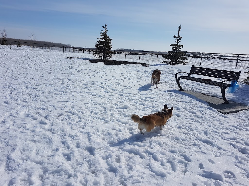 Paisley Dog Park | 3051 Paisley Green SW, Edmonton, AB T6W 1A3, Canada