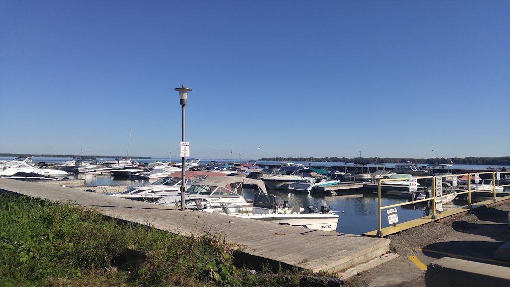 Virginia Beach Marina | 7751 Black River Rd #1, Sutton, ON L0E 1R0, Canada | Phone: (705) 437-2533