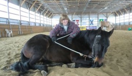 Northern Lights Equine | 680 Poonamalie Side Rd, Smiths Falls, ON K7A 4S4, Canada | Phone: (613) 284-0213