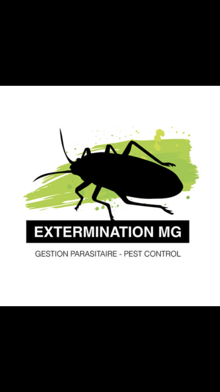 Exterminateur Boisbriand-Extermination MG | 81 Chemin de la Grande-Côte, Rosemère, QC J7A 1H1, Canada | Phone: (438) 524-2514