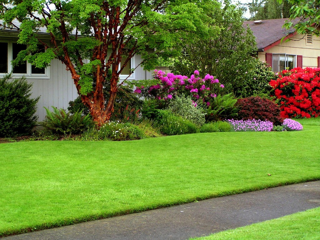 Basil Green Landscaping | 12311 McNeely Dr, Richmond, BC V6V 2S2, Canada | Phone: (778) 319-7381