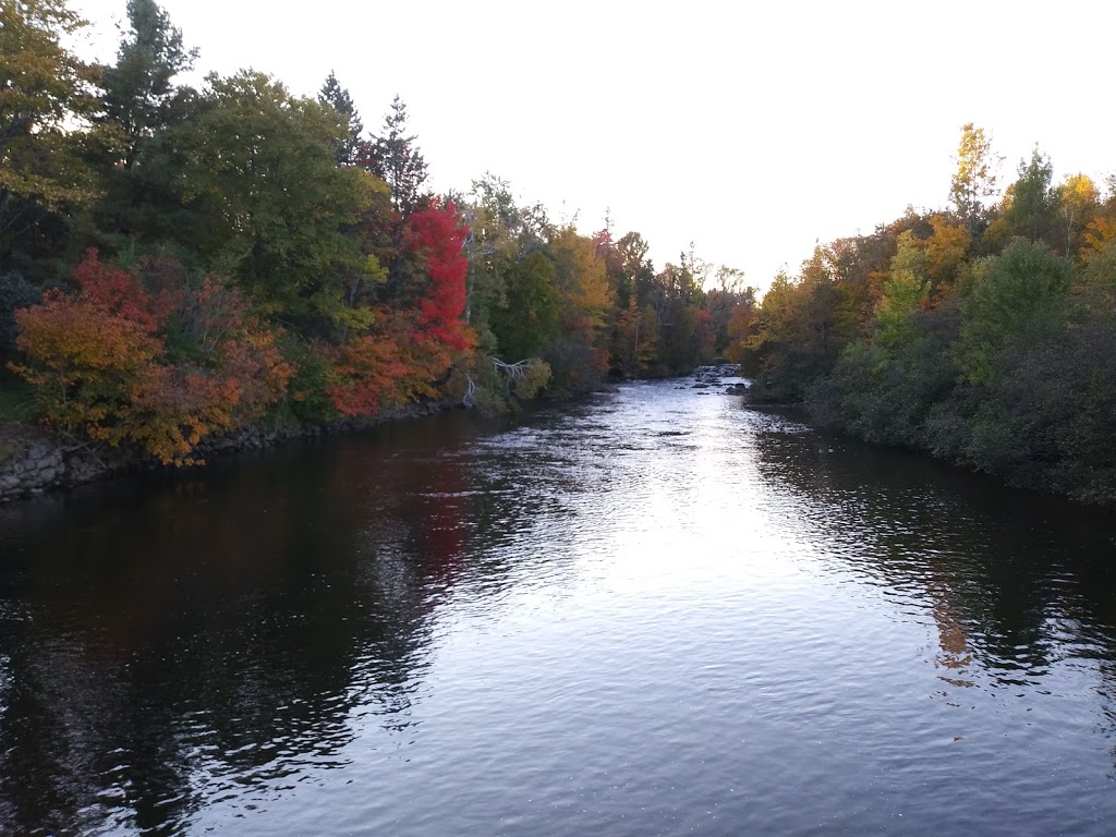 Accès au sentier linéaire de la rivière Saint-Charles | 3Y9, Sentier des rivières, Québec, QC G2A 3L5, Canada