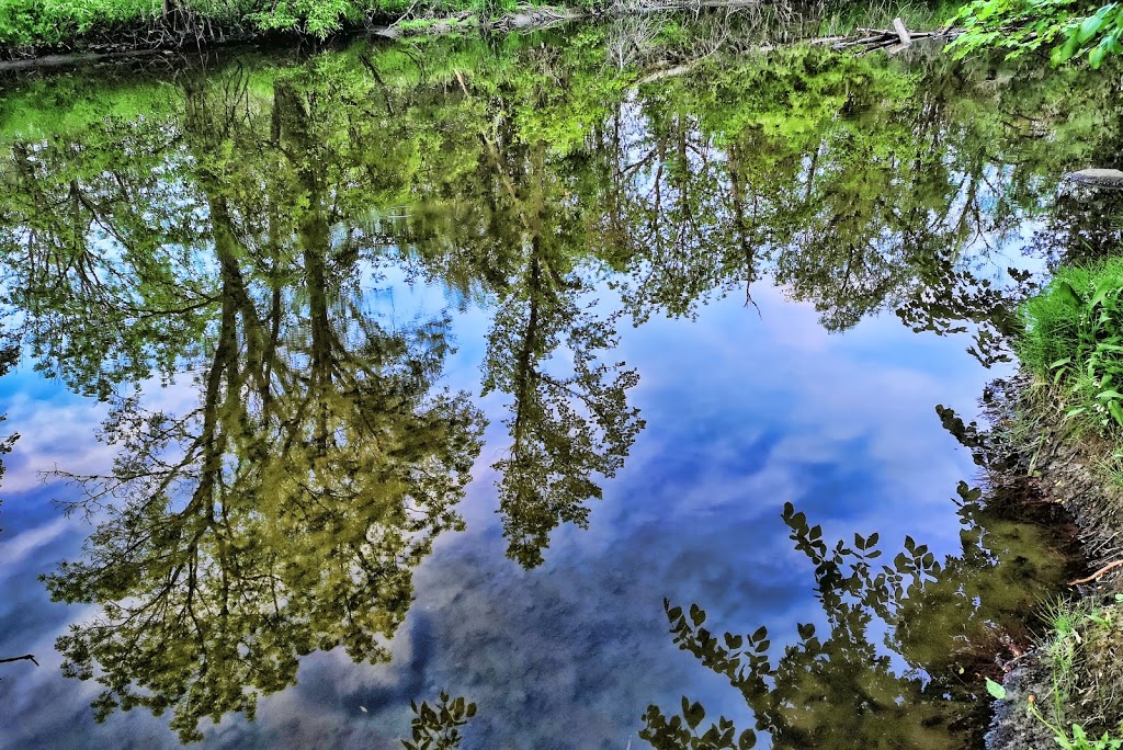 Nature Therapy Trail | Tuclor Ln, Markham, ON L3P 3C6, Canada